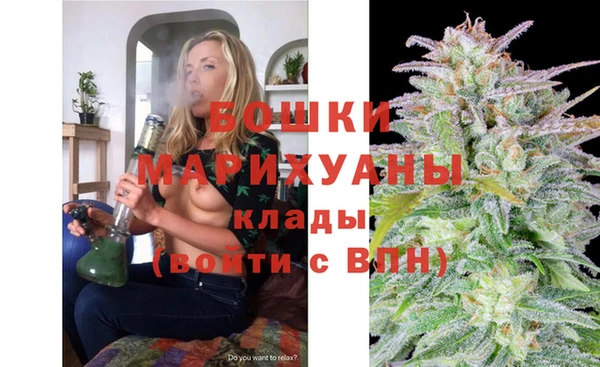 шишки Протвино