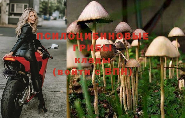кокаин премиум Белокуриха