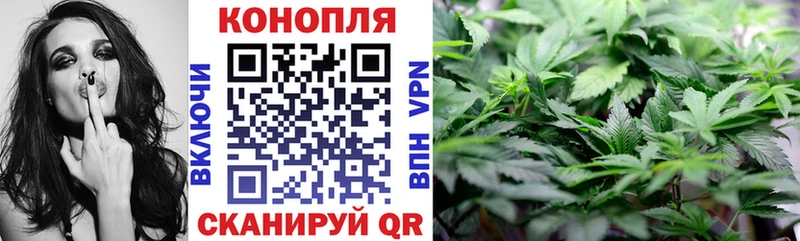 Бошки Шишки MAZAR  Великий Устюг 